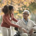 Which of the following are services provided under home healthcare?